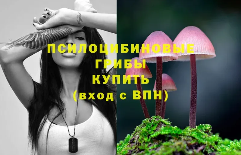 цены   Невельск  Псилоцибиновые грибы Magic Shrooms 